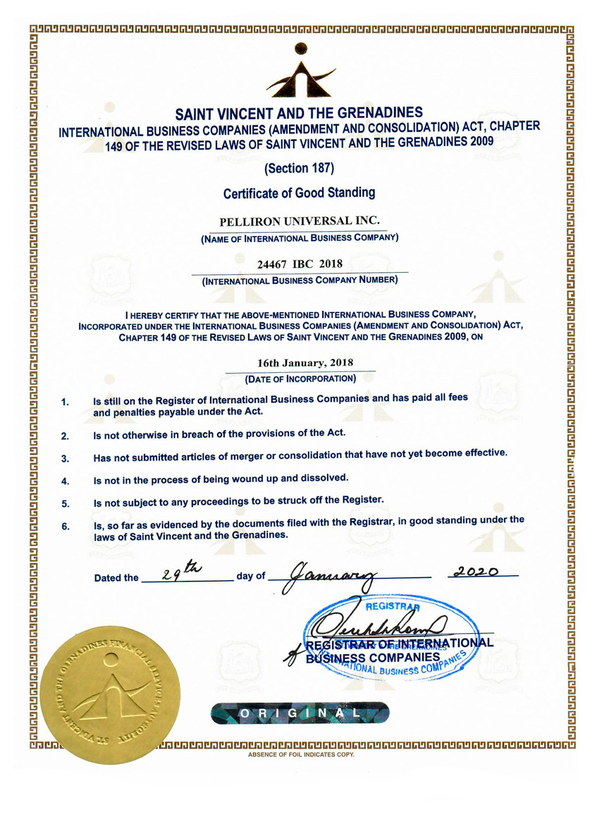 Сертифікат міжнародного зразка 2